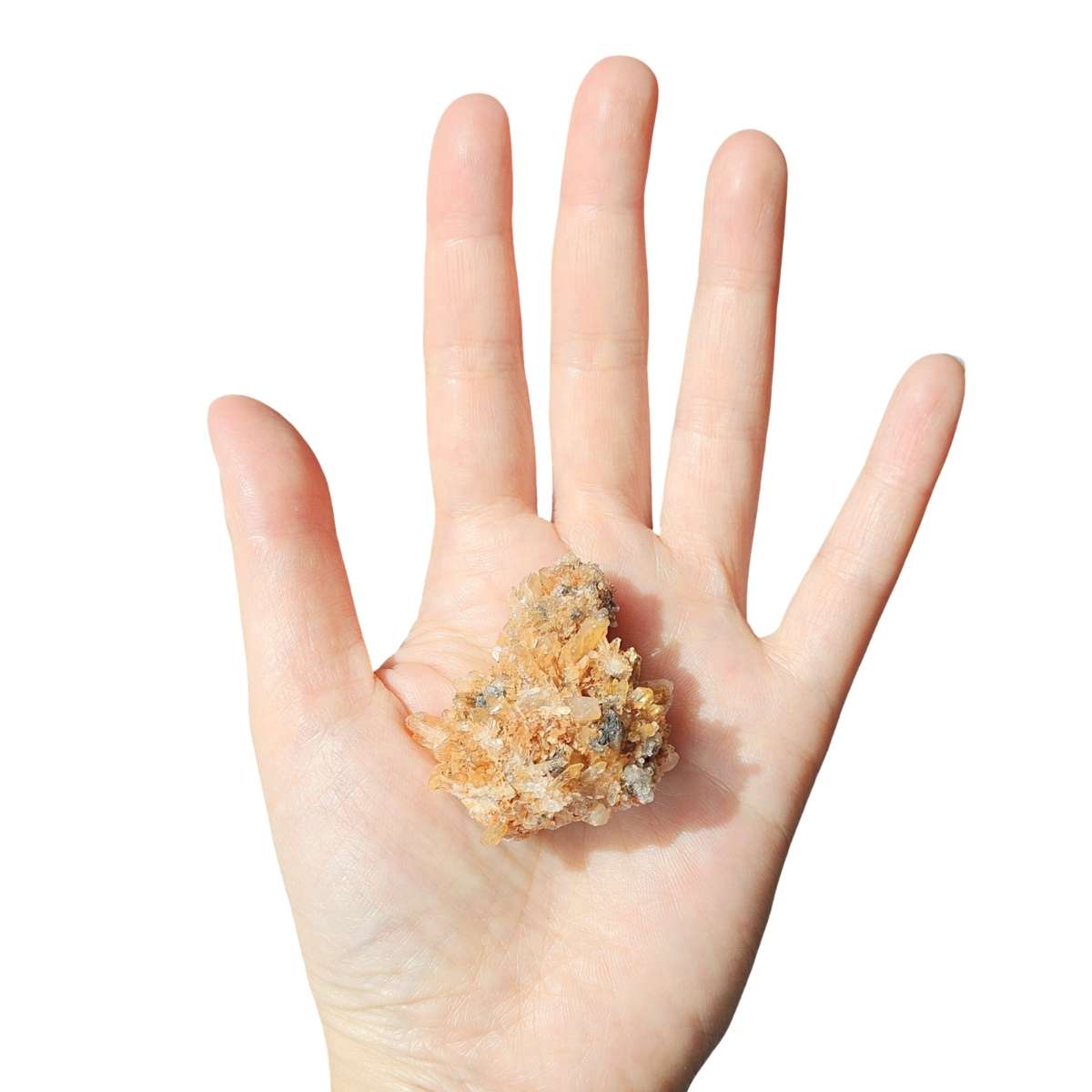 Creedite on palm for size comparison