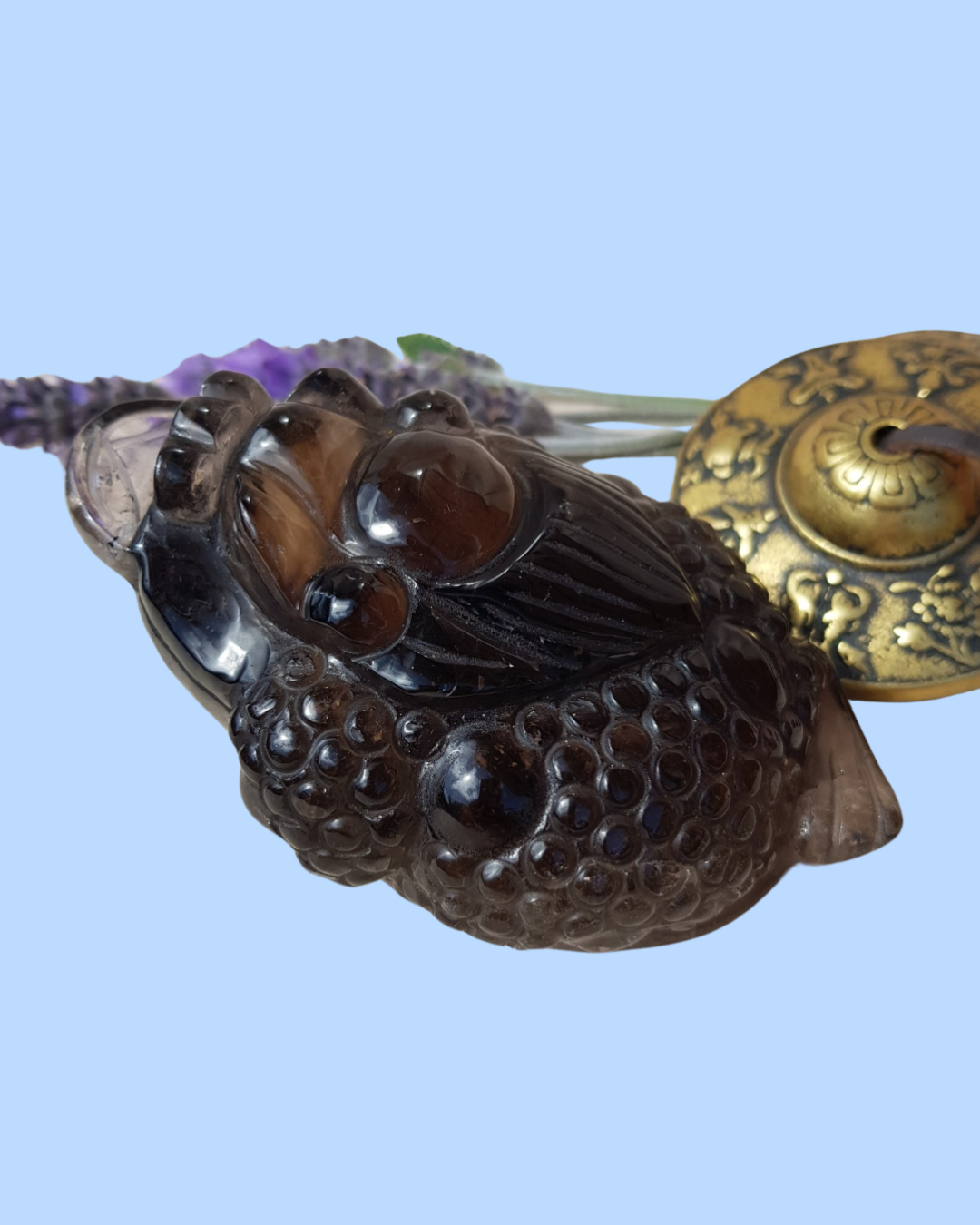 Smoky Quartz Crystal Money Toad