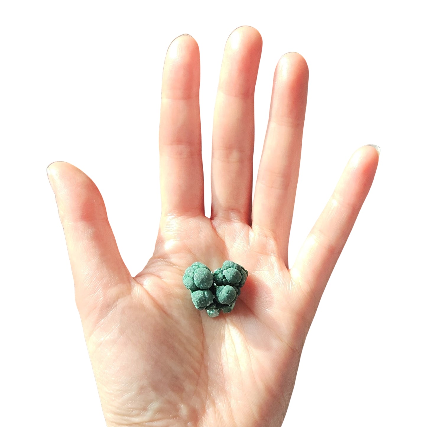 Botryoidal Malachite