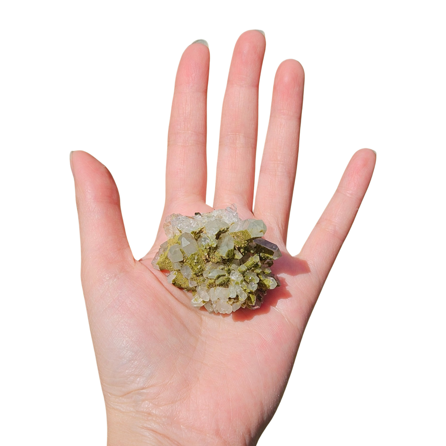 Chlorite Quartz & Epidote (Glittery)