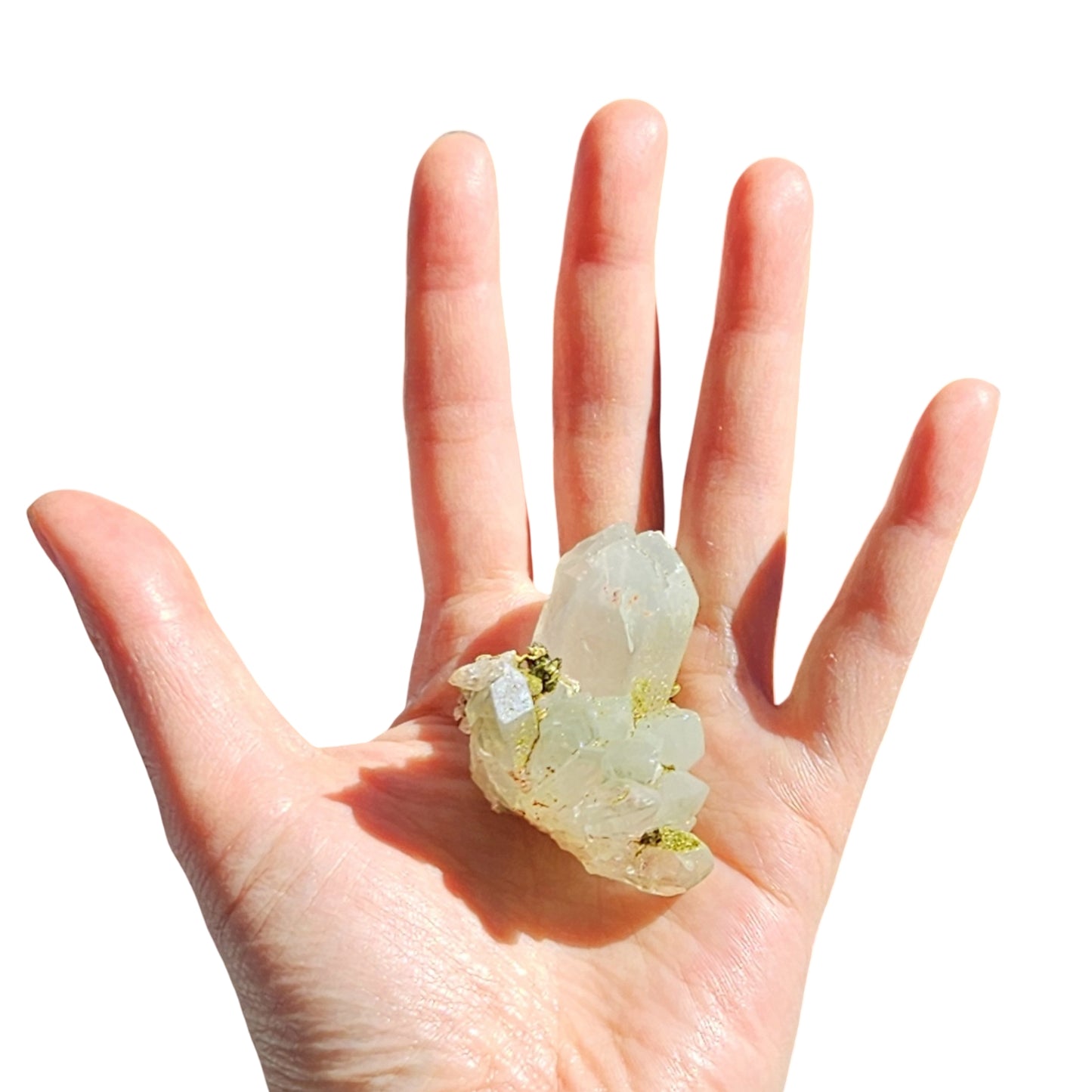 Chlorite Quartz with Epidote (1)