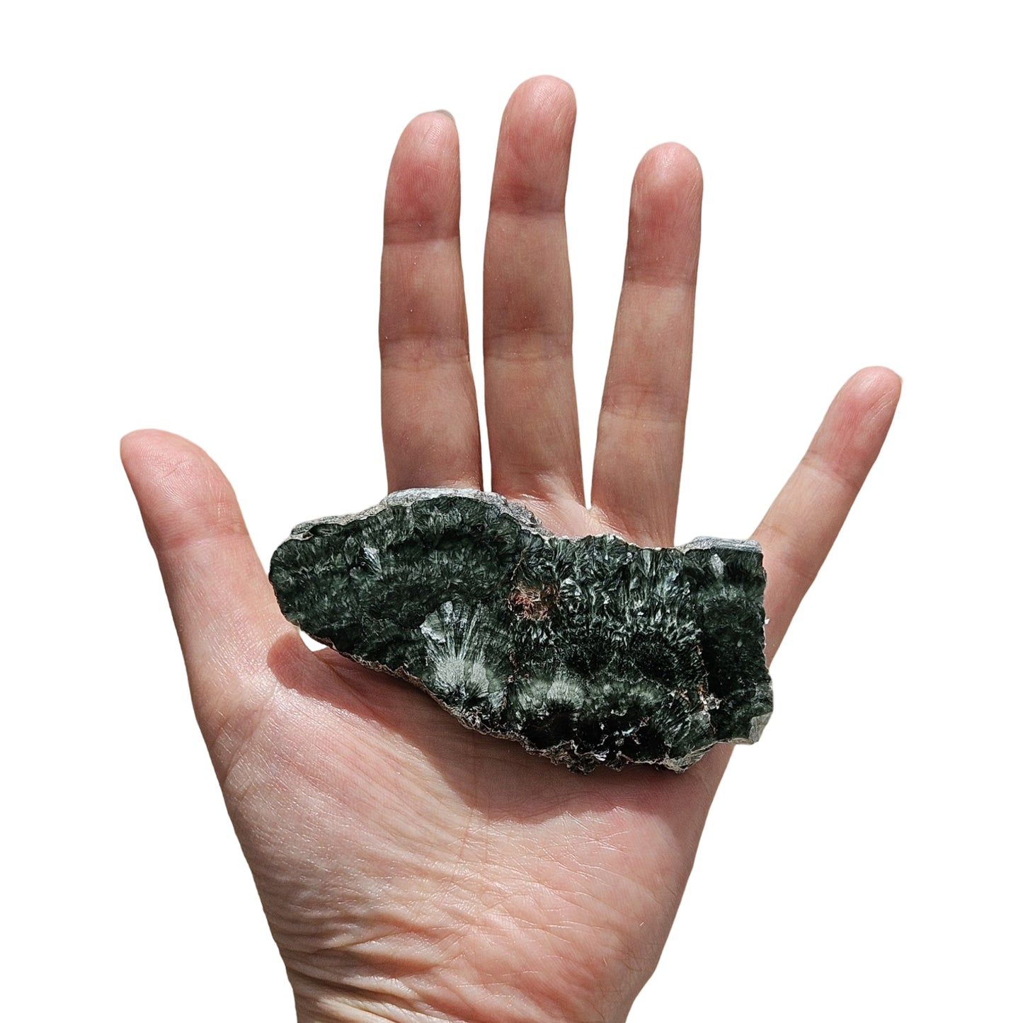 Seraphinite (5)