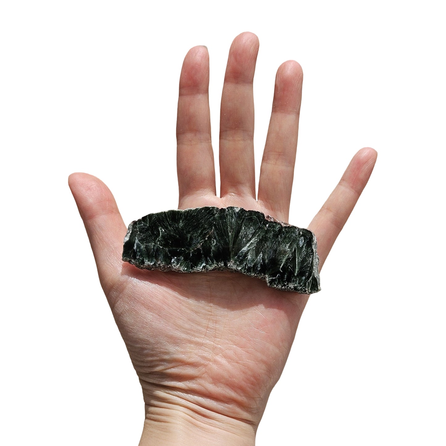 Seraphinite (7)