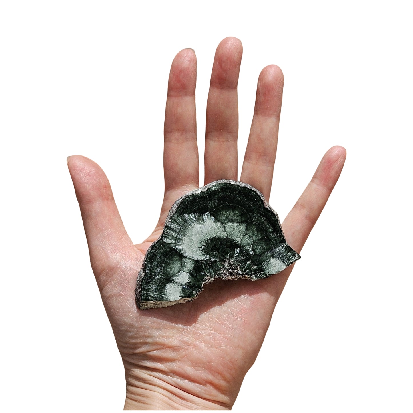 Seraphinite (1)