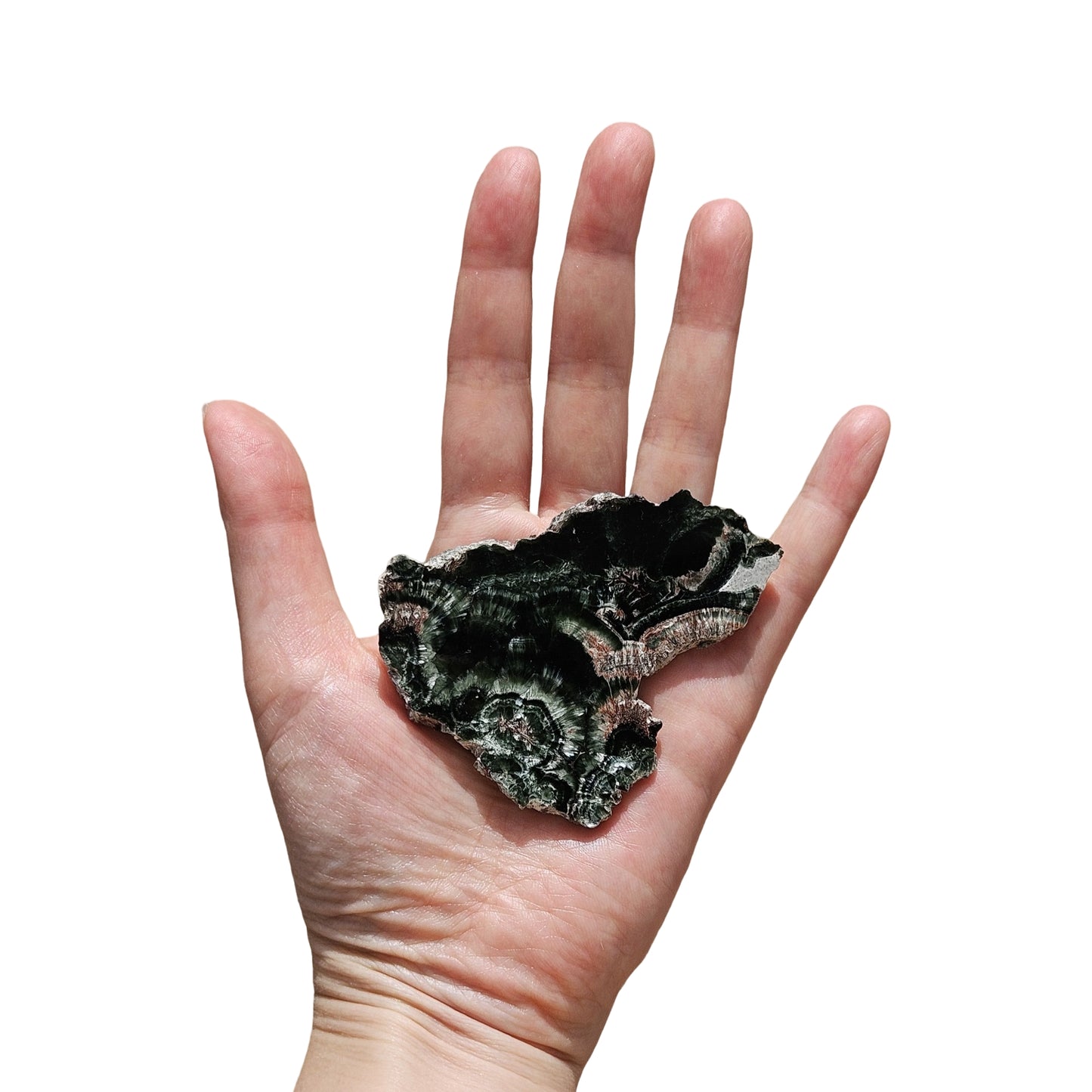 Seraphinite (2)