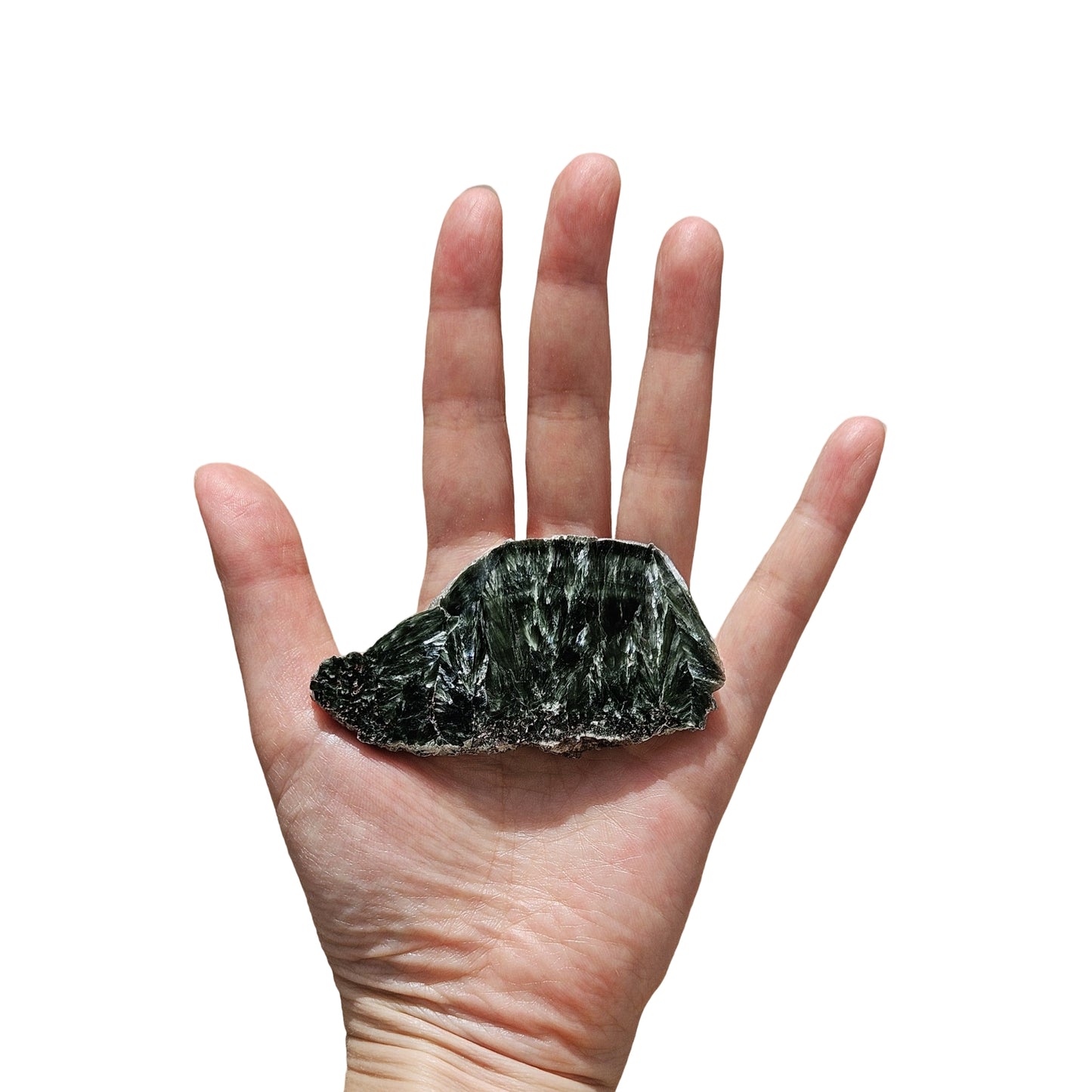 Seraphinite (3)