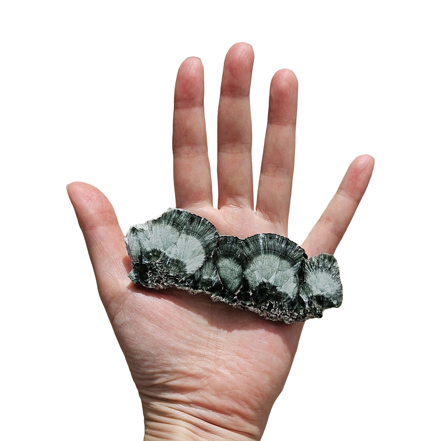 Seraphinite (4)