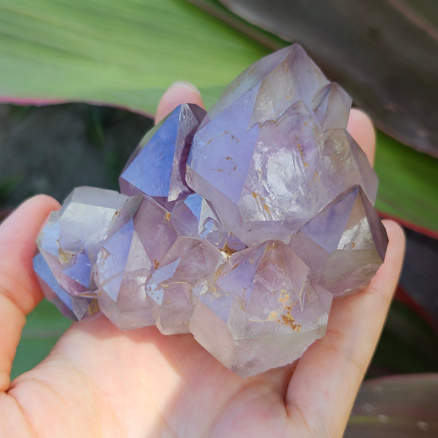 Amethyst Elestial Cluster