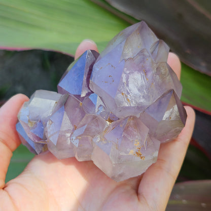 Amethyst Elestial Cluster