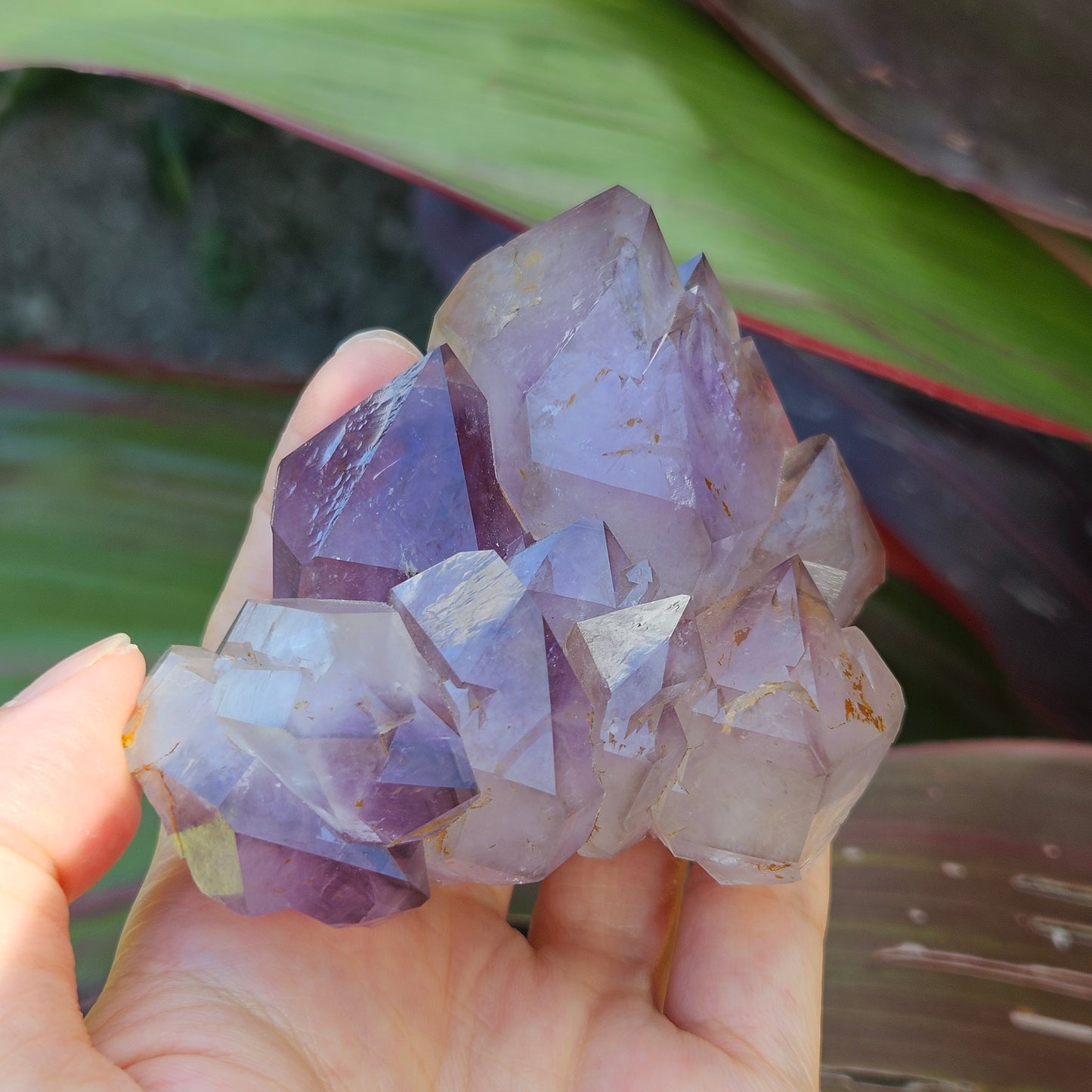 Amethyst Elestial Cluster