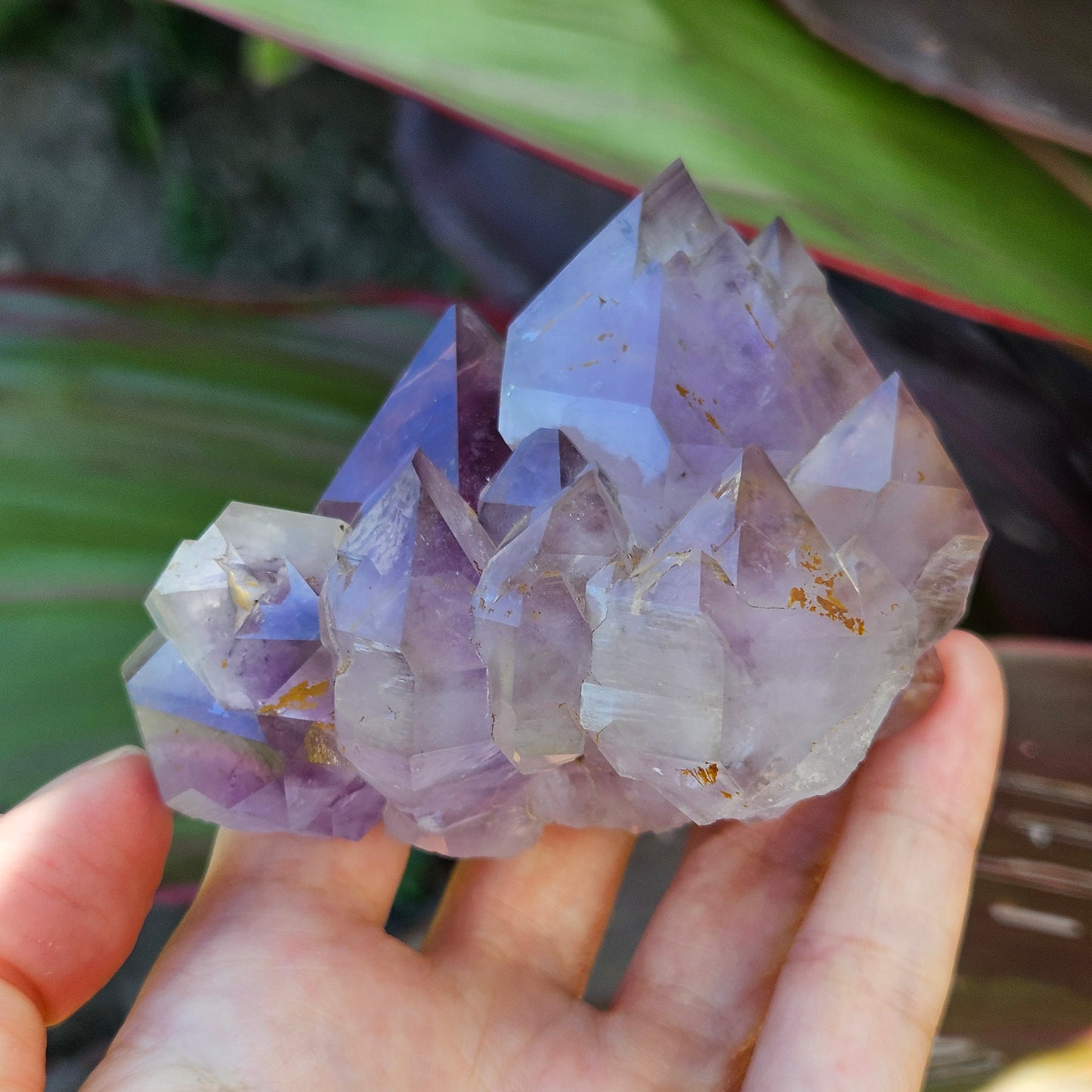 Amethyst Elestial Cluster