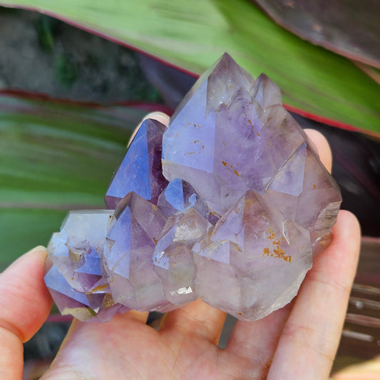 Amethyst Elestial Cluster