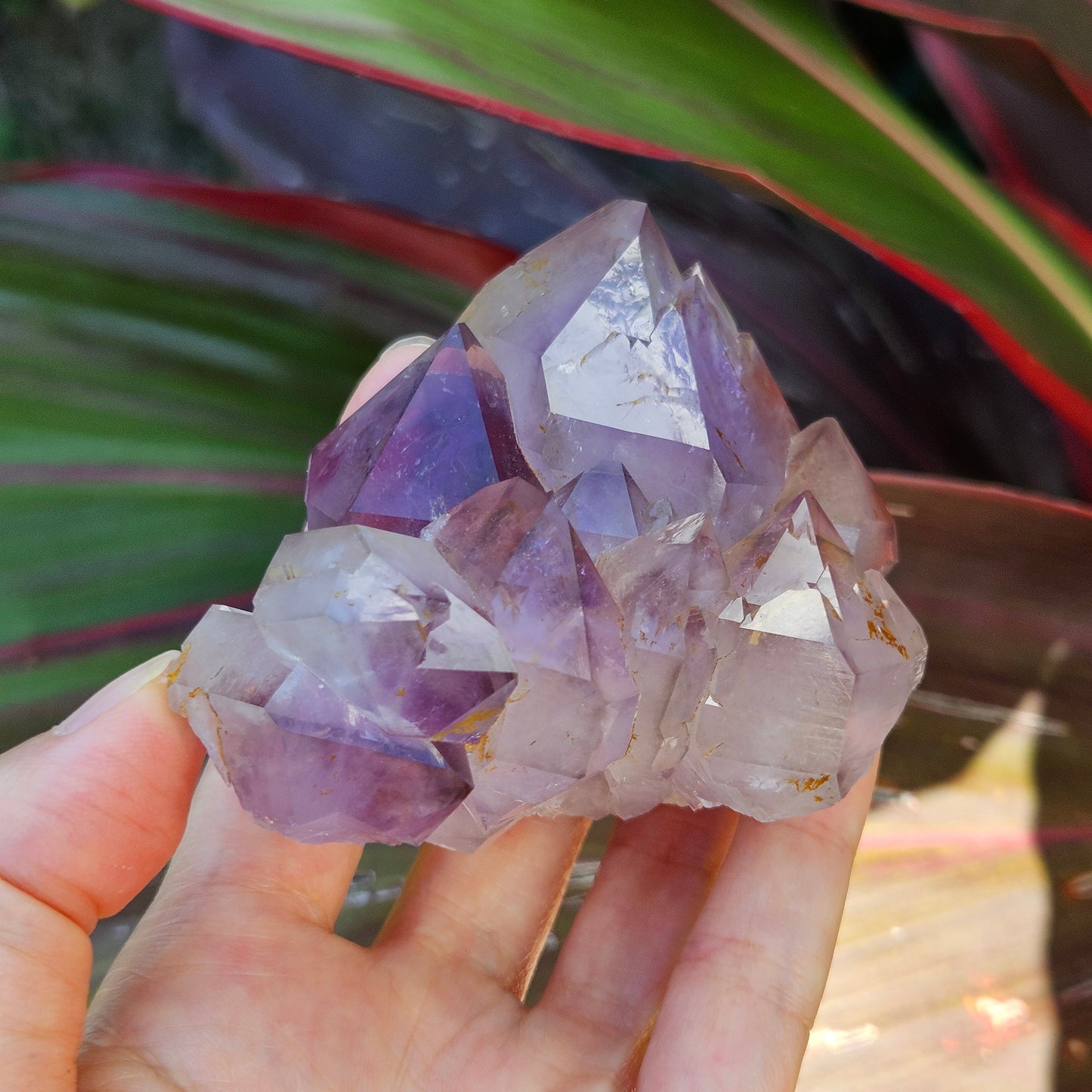 Amethyst Elestial Cluster