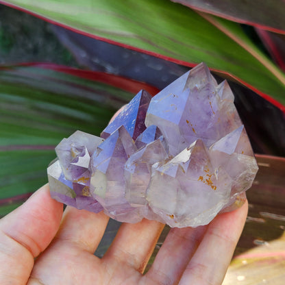 Amethyst Elestial Cluster