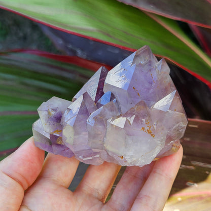 Amethyst Elestial Cluster