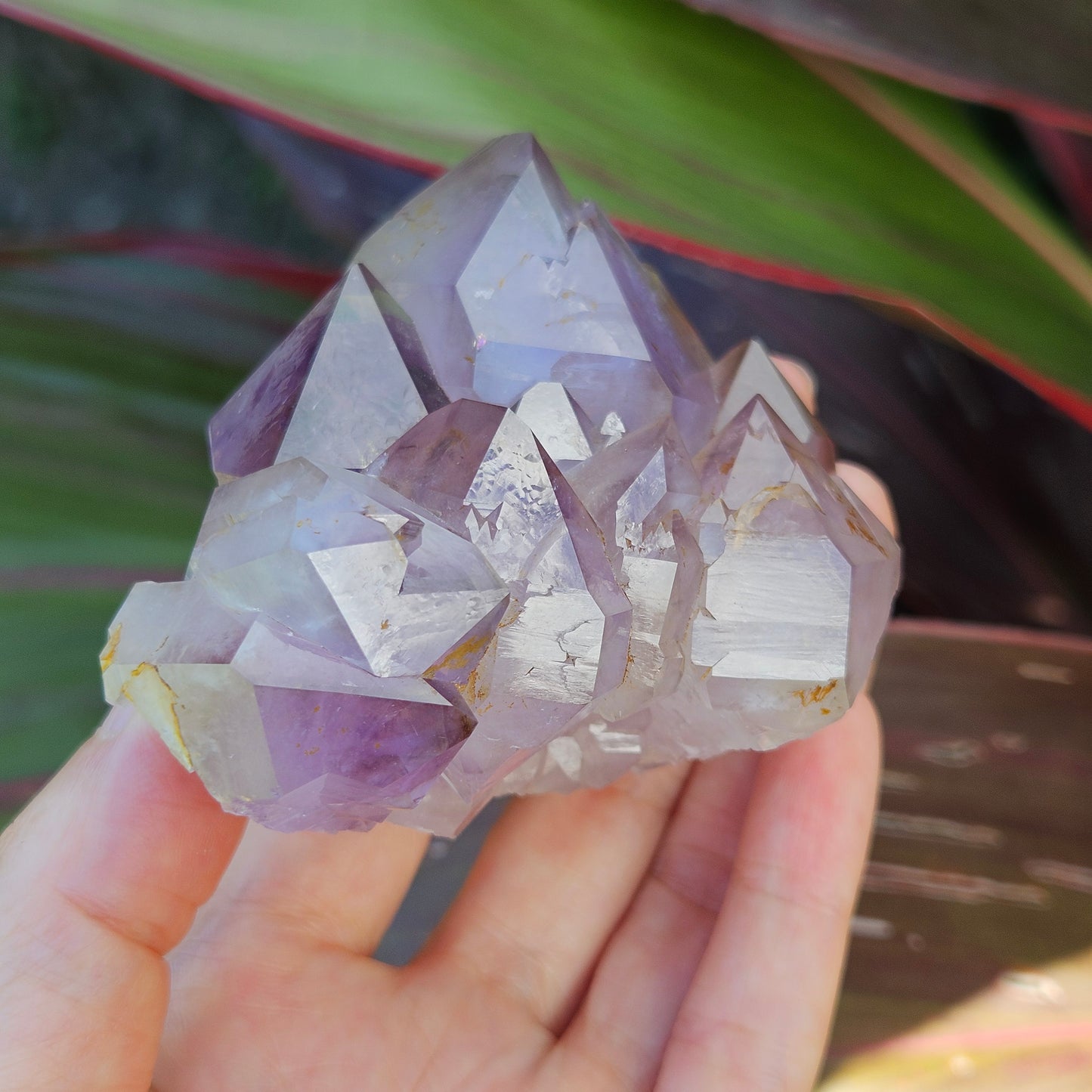 Amethyst Elestial Cluster