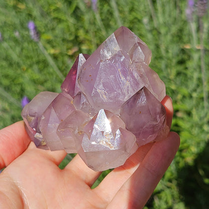 Amethyst Elestial Cluster