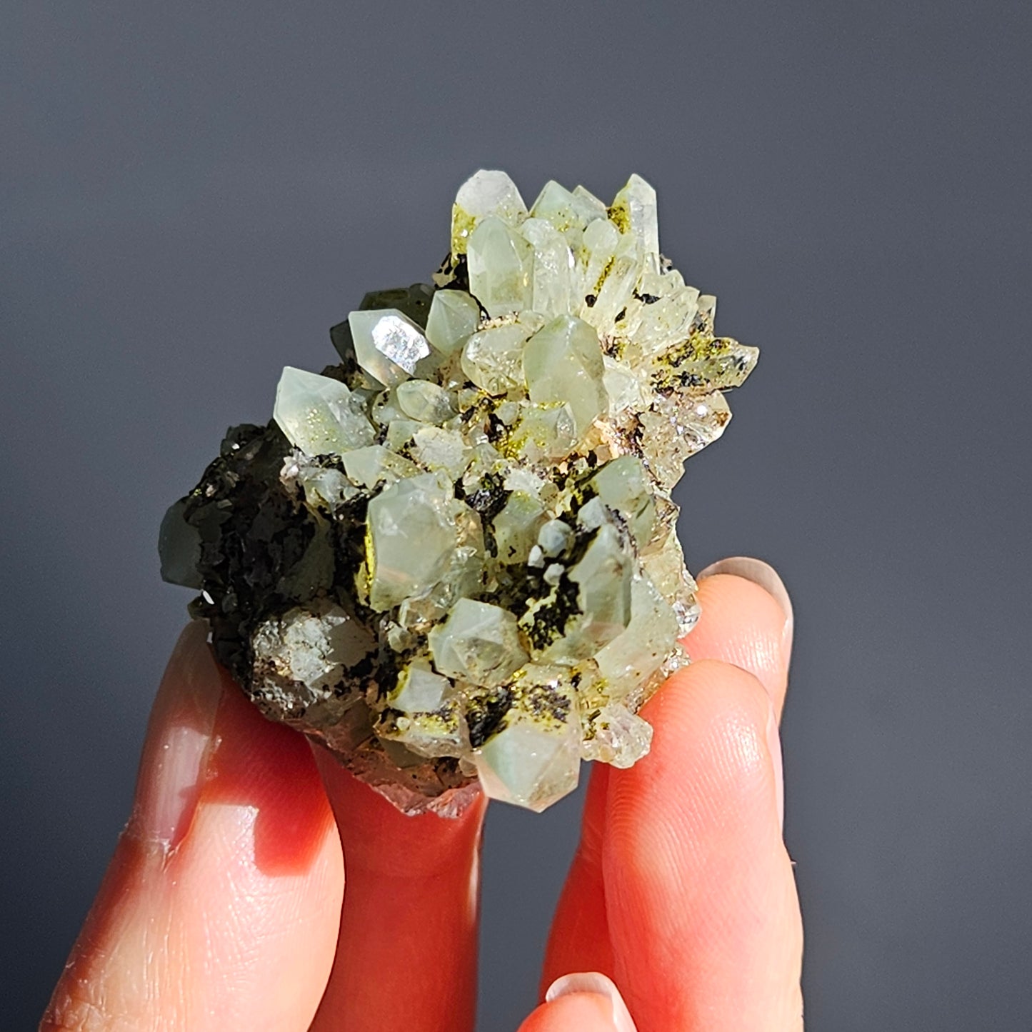 Chlorite Quartz with Epidote (3)