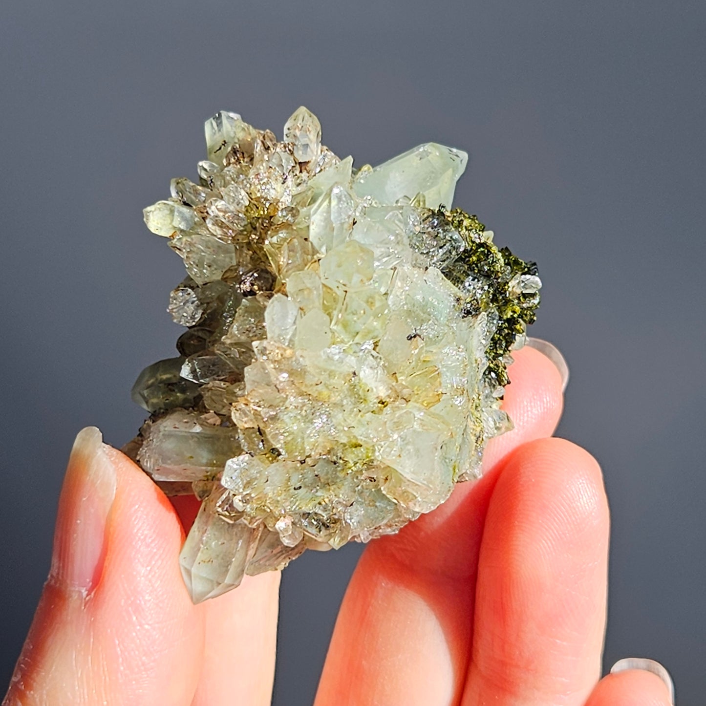 Chlorite Quartz with Epidote (3)