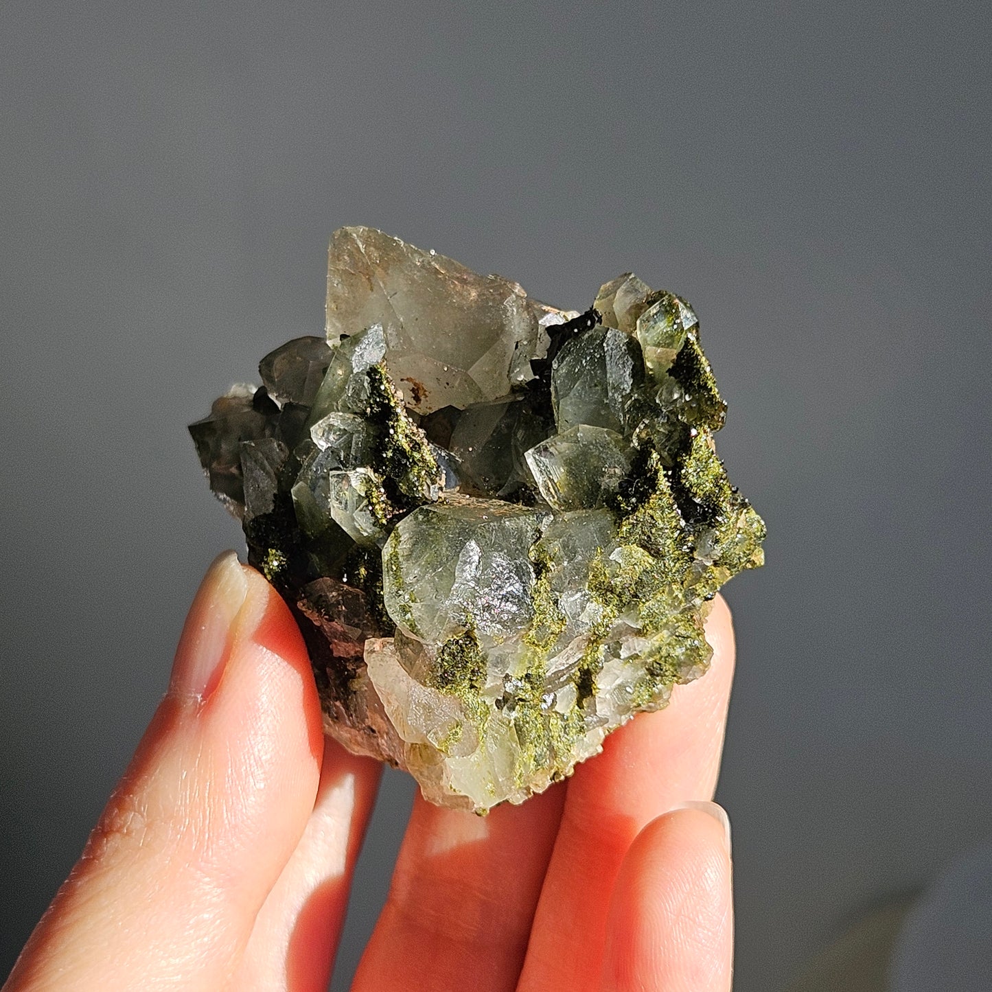 Epidote in Quartz (6)