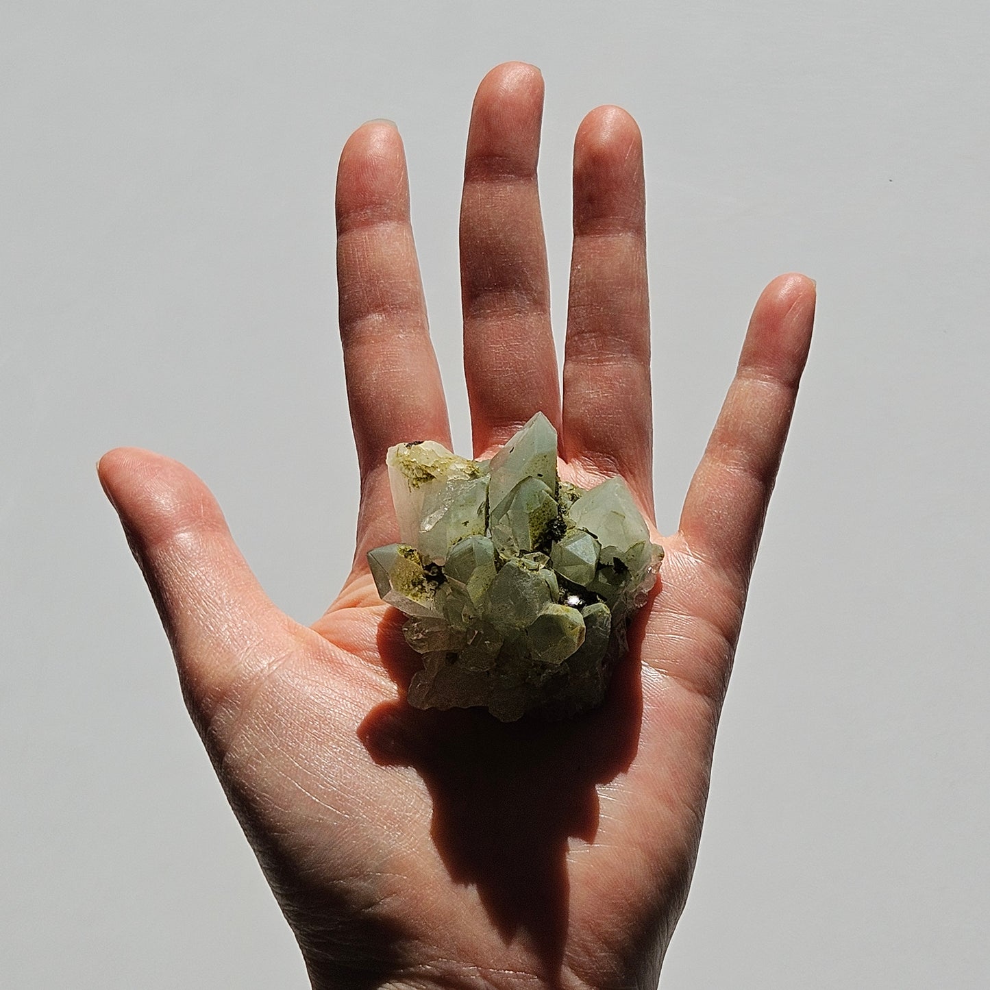 Chlorite Quartz with Epidote (2)