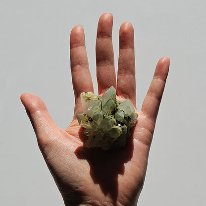 Chlorite Quartz with Epidote (2)