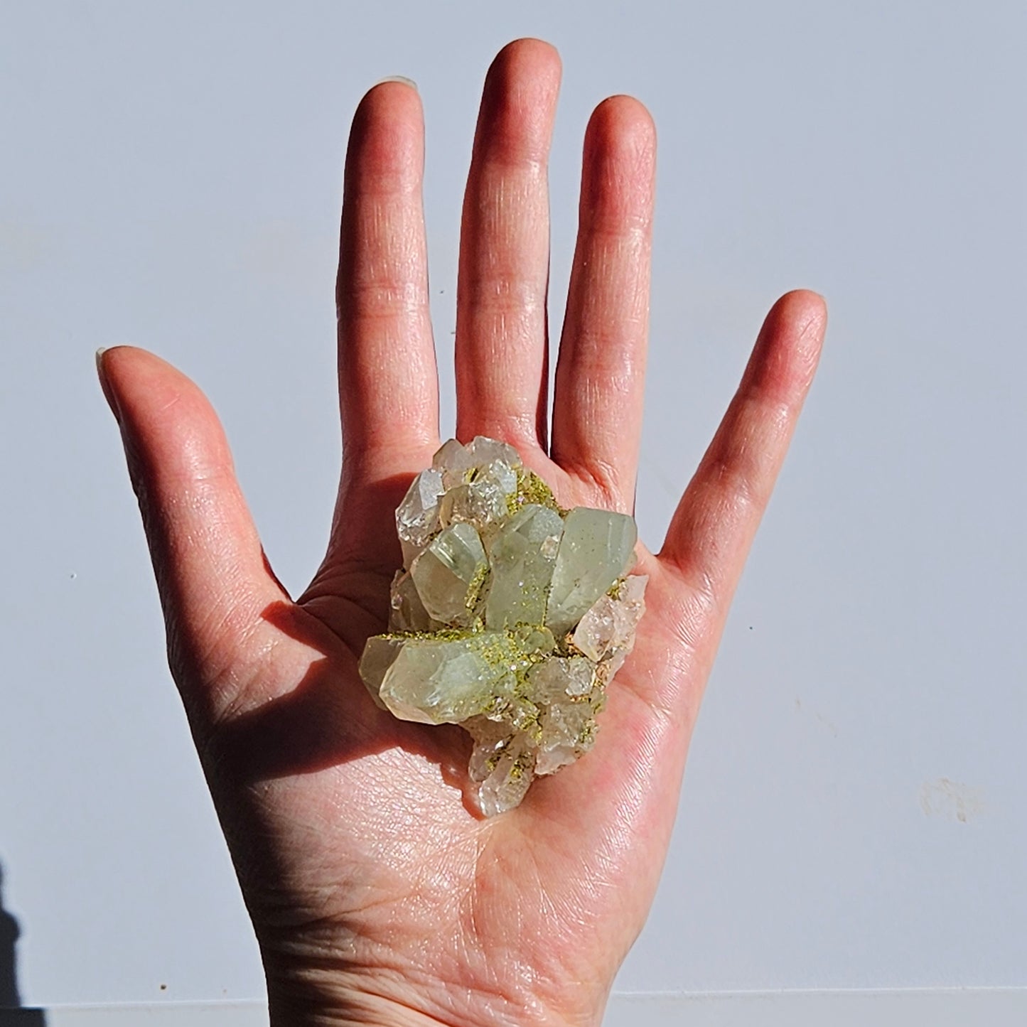 Chlorite Quartz with Epidote (4)