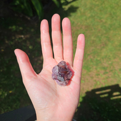 "Super 7" Amethyst with Hematite