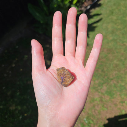 Australian Boulder Opal Rough