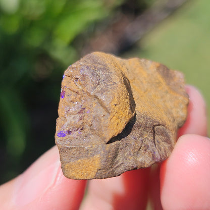 Australian Boulder Opal Rough
