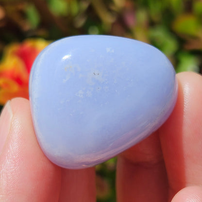 Blue Lace Agate Tumble (High Quality)