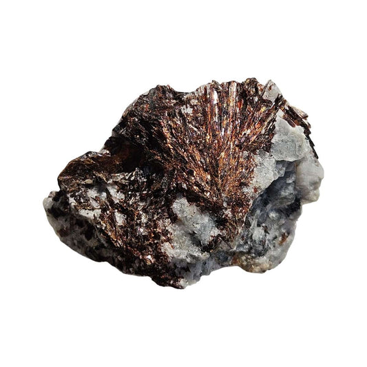 Astrophyllite