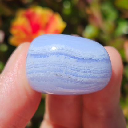 Blue Lace Agate Tumble High Quality