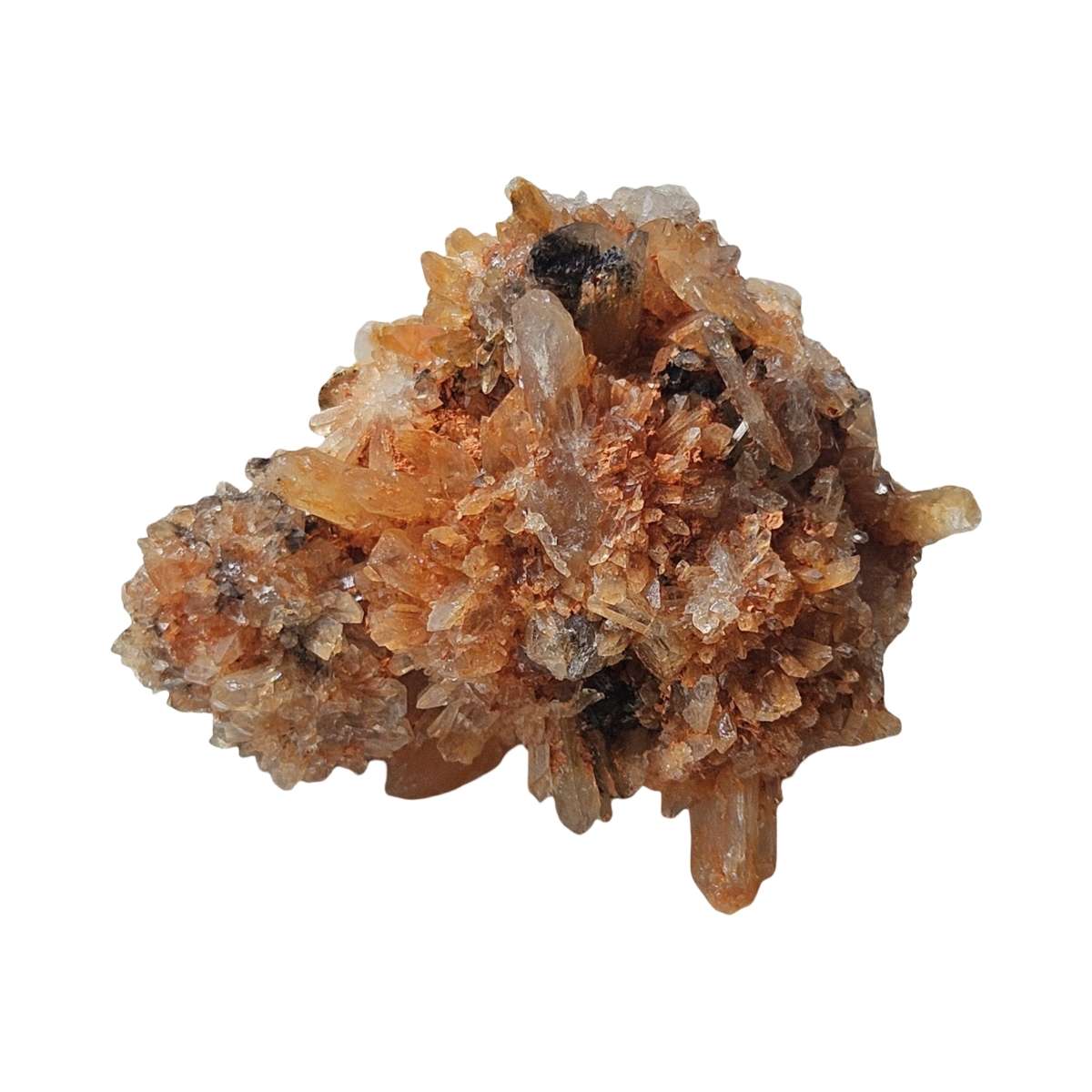 Creedite