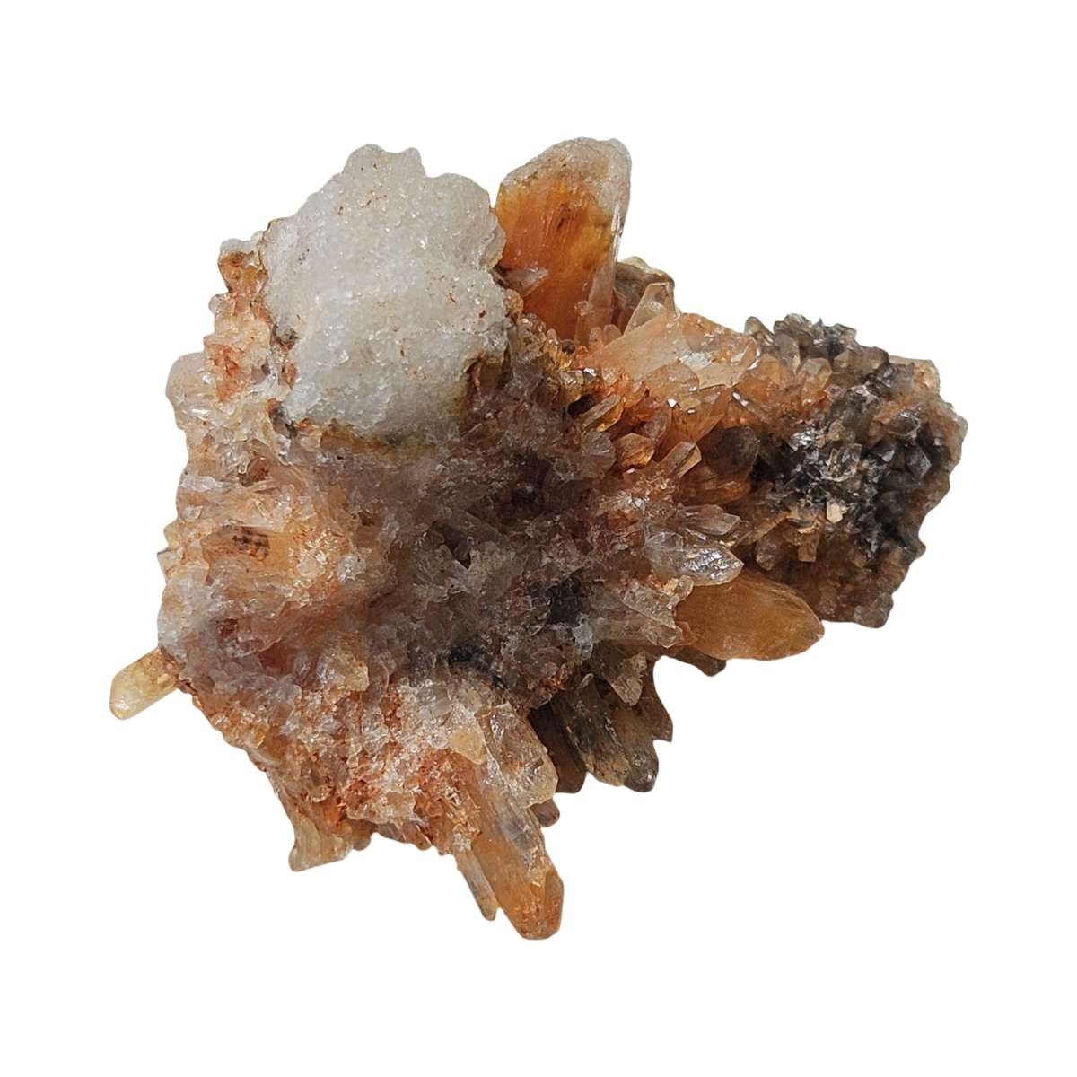 Creedite orange from mexico