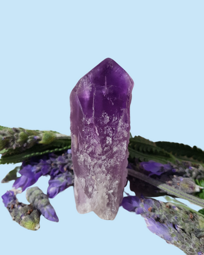 Hydrothermally etched Amethyst.
