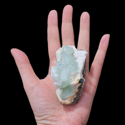 Green Apophyllite on palm for size comparison