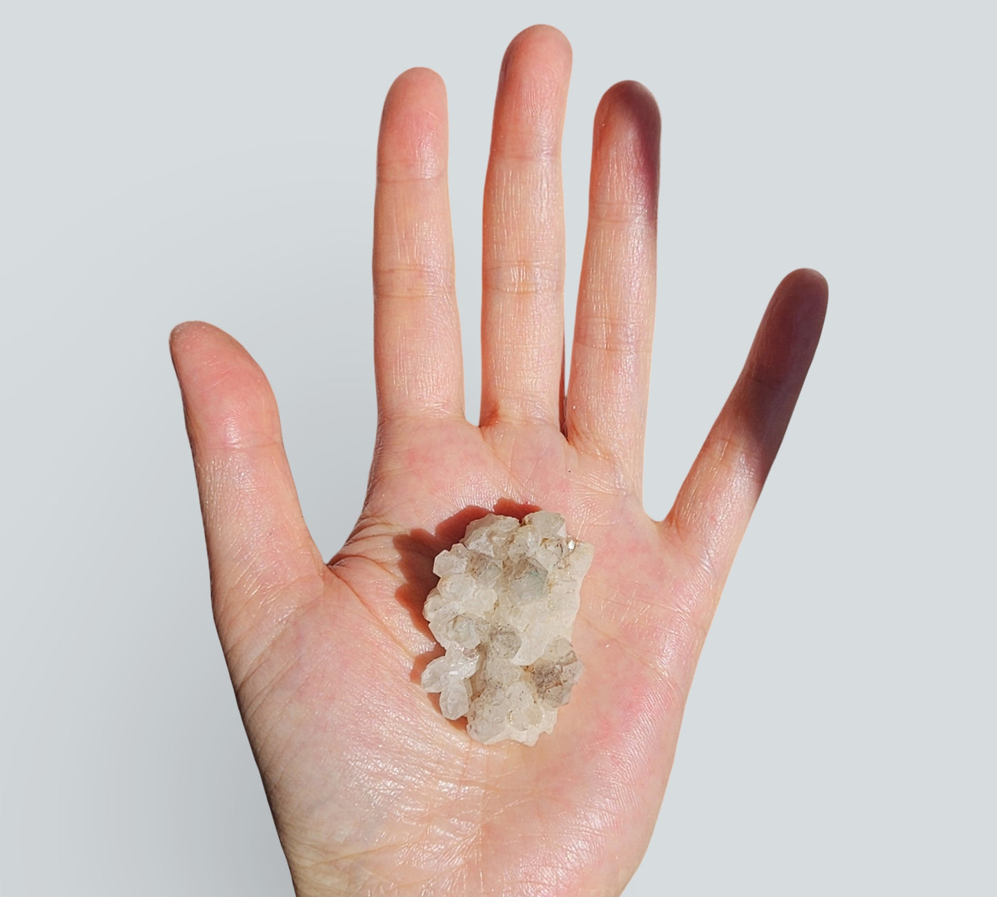 Green Phantom Quartz Cluster | Medium