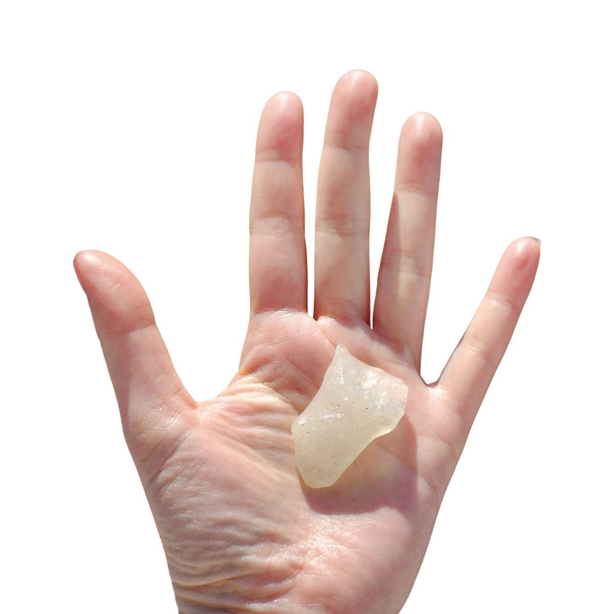 Libyan Desert Glass on palm for size comparison