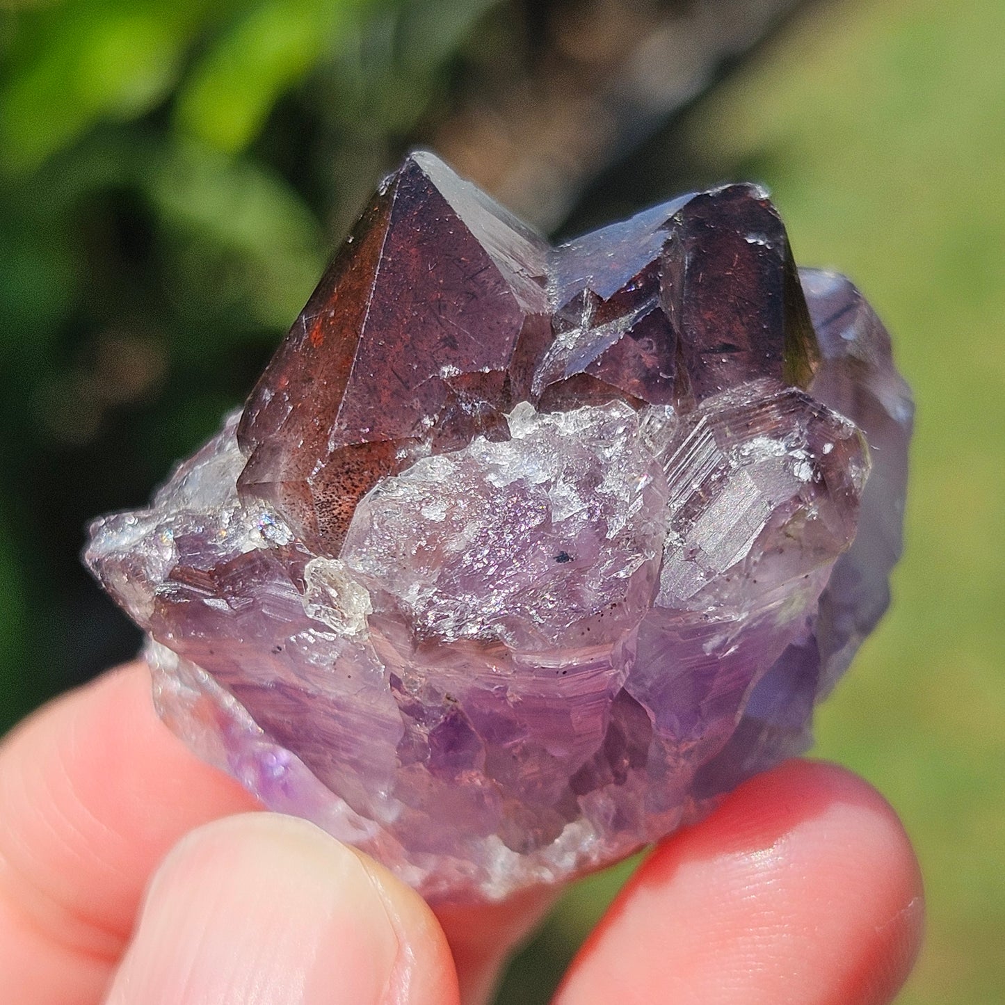 Super 7 Amethyst with Hematite 