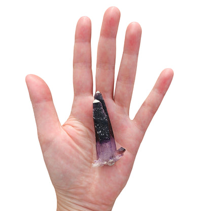 Double Tessin Amethyst (Deep Violet)