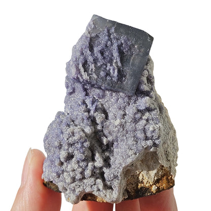 Blue Green Fluorite Specimen