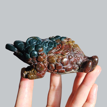 Jasper Money Toad (2)