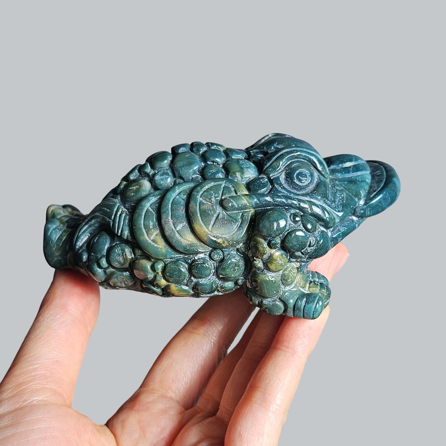 Jasper Money Toad (1)