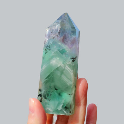 Dendritic Fluorite Point