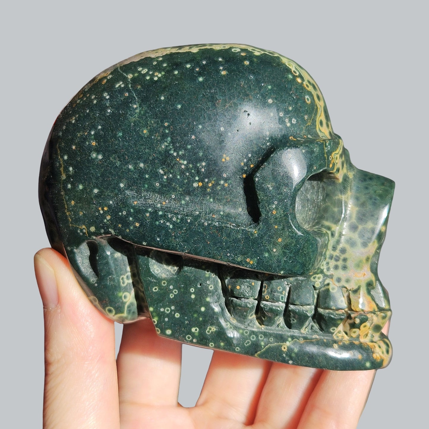 Orbicular Sea Jasper Crystal Skull