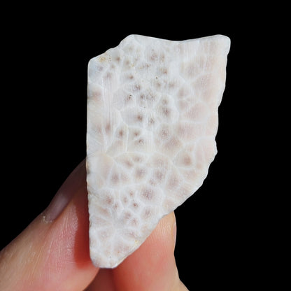 Natrolite | Pink Larimar