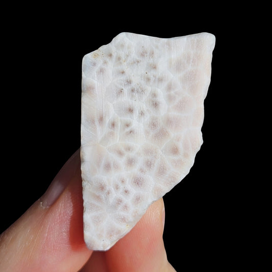 Natrolite | Pink Larimar