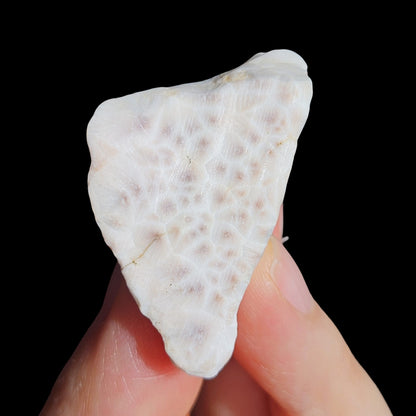 Natrolite | Pink Larimar