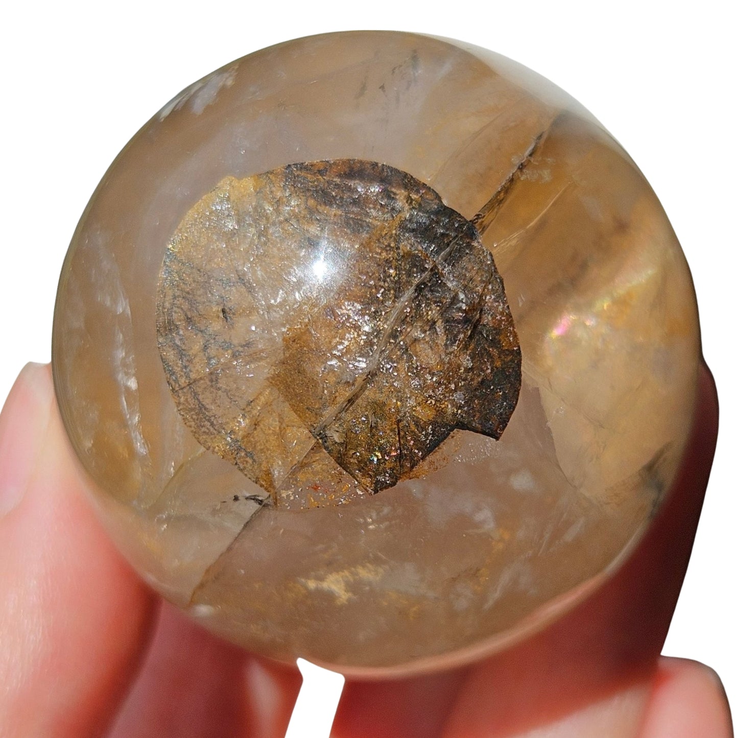 Dendritic Golden Healer Rose Quartz Sphere (4)